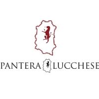 Pantera Lucchese